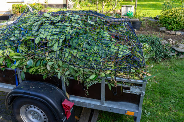 Best Dumpster Rental Services  in Beaumont, CA